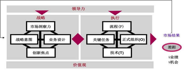 张蕾《战略解码——明晰组织战略强化组织执行》