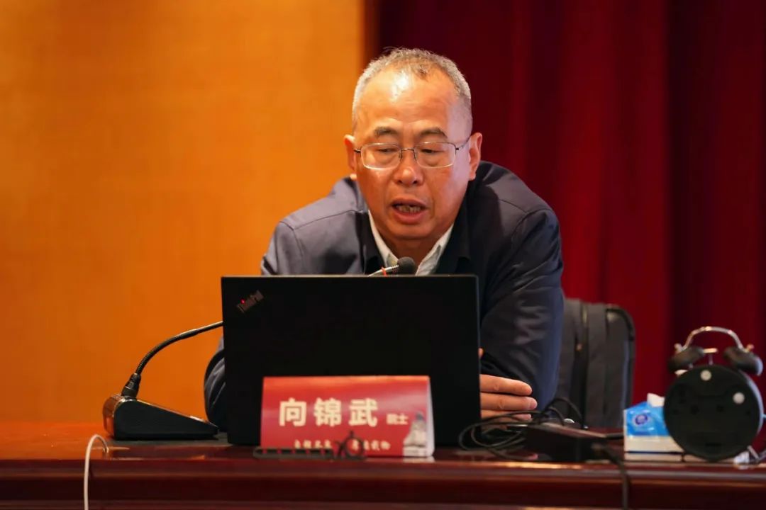 聚焦低空经济：开启创新经营培育新征程