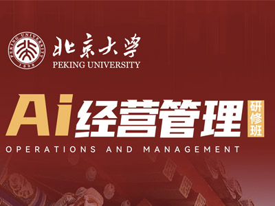 北京大学AI经营管理研修班