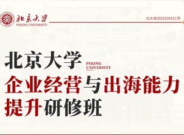 北京大学企业经营与出海能力提升研修班
